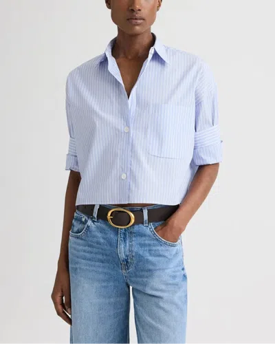 Twp Next Ex Blue Haven In Blue