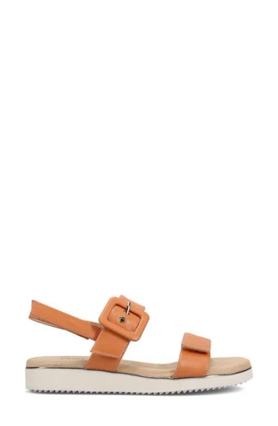 Vaneli Elysha Sandal In Multi