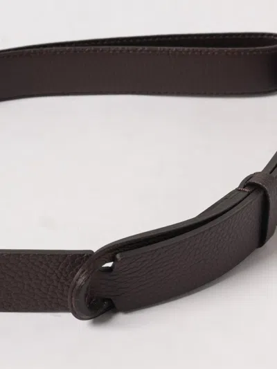 Orciani Belt Men  In Brown