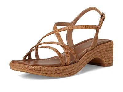 Donald Pliner Women Rosalie Saddle Casual In Multi