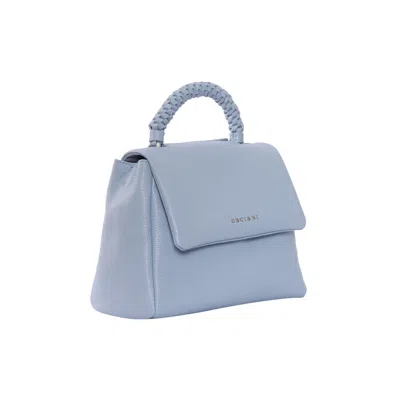Orciani Handbag In Blue