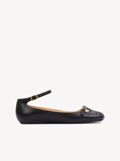 Chloé Chloe Misty Leather Ballerinas For Women In Black