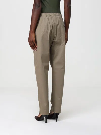 Max Mara Drawstring Casual Pants In Brown