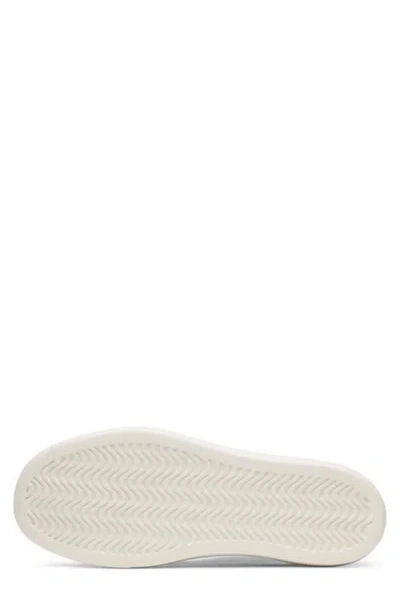 Allbirds Wool Piper 2 Sneaker In Pattern