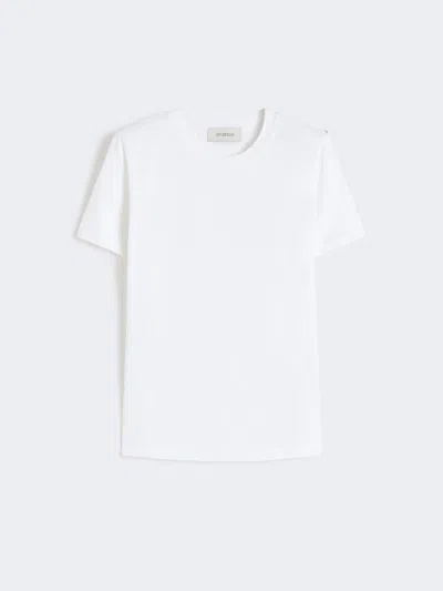 Max Mara Basic Cotton Jersey T-shirt In White