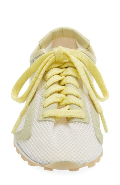 Jacquemus Low Top Sneakers Suede Mesh Rubber Sole In Animal Print