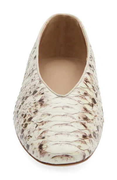 Le Monde Beryl Classic Regency Snake-effect Leather Ballet Flats In Animal Print