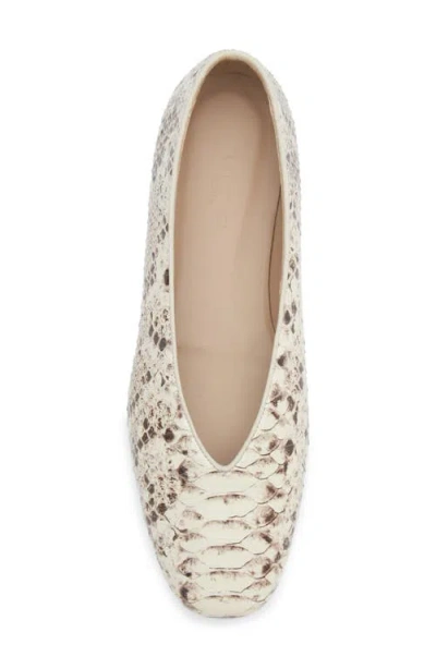 Le Monde Beryl Classic Regency Snake-effect Leather Ballet Flats In Animal Print