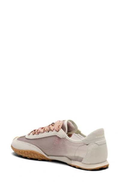 Hoff Bridge Mesh Sneaker In Multi