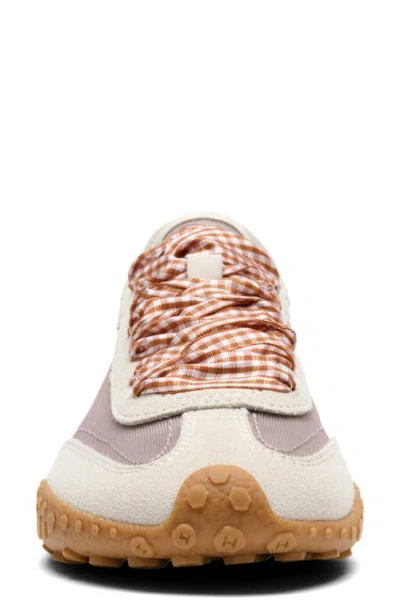 Hoff Bridge Mesh Sneaker In Multi