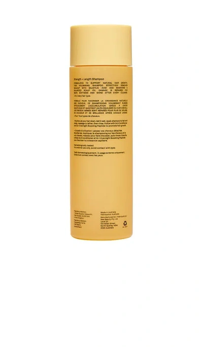 Typebea G2 Strength + Length Shampoo