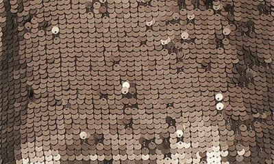 Rag & Bone Lucy Sequin Tee Coffee In Brown