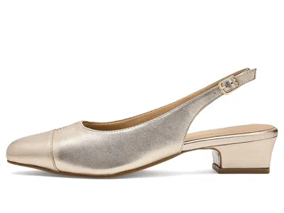 Trotters Dea In Neutral