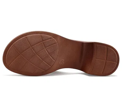 Los Cabos Alegro In Brown