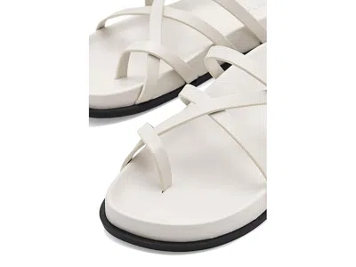 Calvin Klein Helden In Multi
