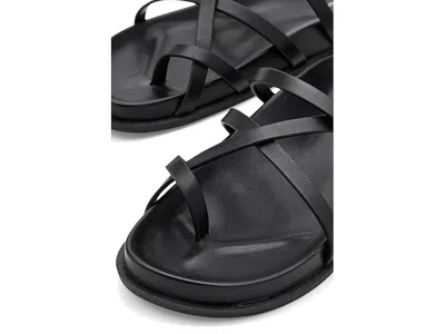 Calvin Klein Helden In Multi