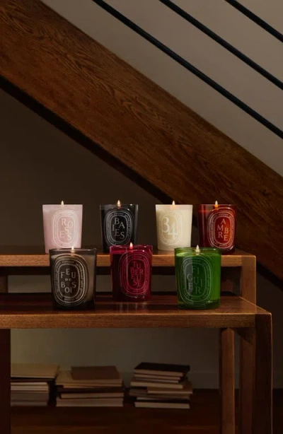 Diptyque Figuier Coloured Candle In Green