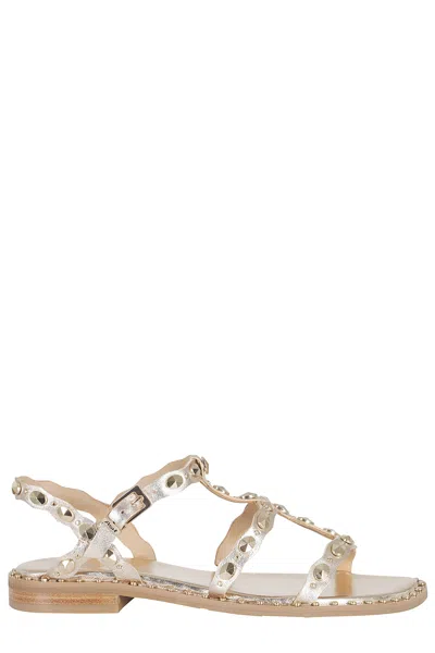 Ash Plus Stud-embellished Metallic Sandals In Brown