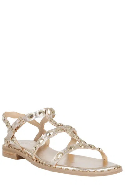 Ash Plus Stud-embellished Metallic Sandals In Brown