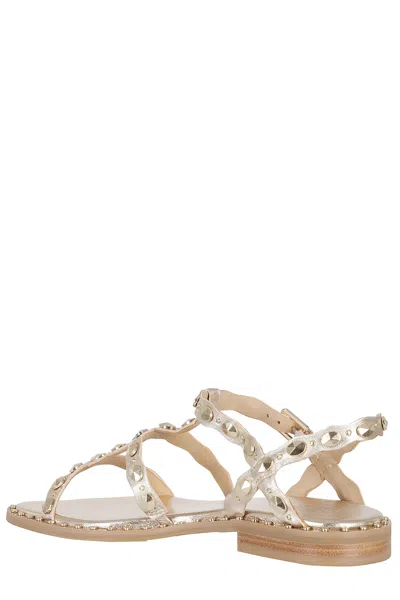 Ash Plus Stud-embellished Metallic Sandals In Brown