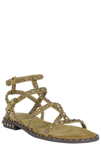 Ash Precious Stud-embellished Sandals In Green