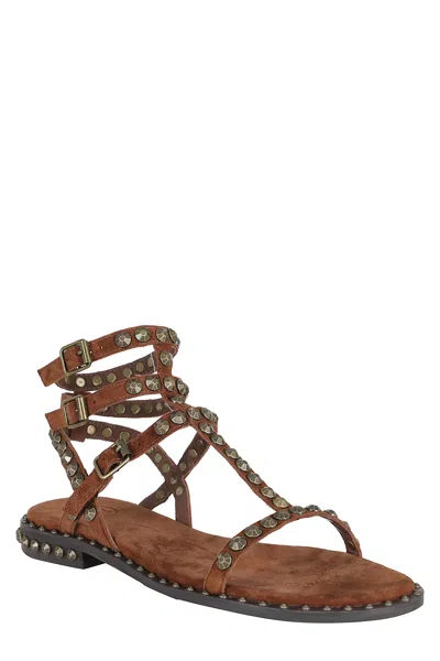 Ash Precious Leather Sandals In Brown
