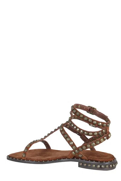 Ash Precious Leather Sandals In Brown