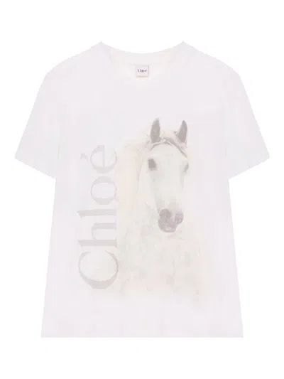 Chloé Cotton Crew Neck Graphic Short Sleeve T-shirt In White