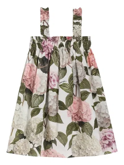 Dolce & Gabbana Hydrangea-print Poplin Dress In Multi