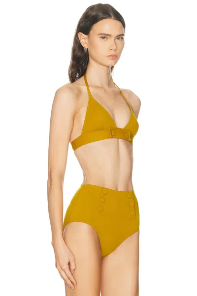 Eres Triangle-cup Bikini Top In Brown