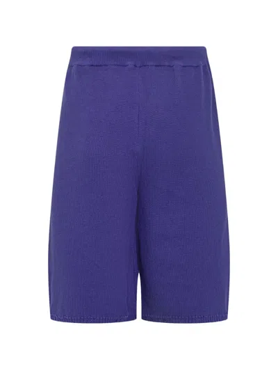 Laneus Purple Solid Shorts In Purple