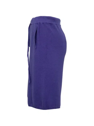 Laneus Purple Solid Shorts In Purple