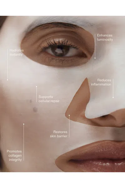 Reome Hydra-plasma Veil Pack Of 5 In Transparent