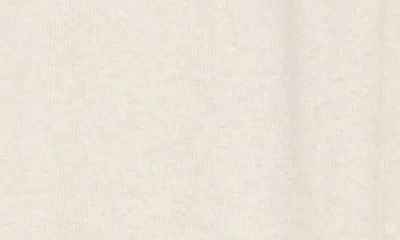 Ag Sourie Pull-on Relaxed Wide Leg Pants In Neutral