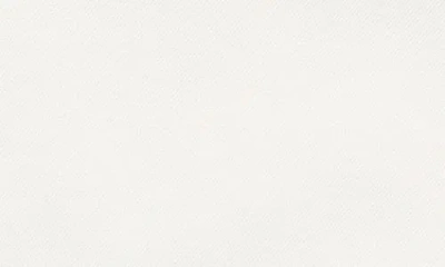 Construct Pipe Trim Cotton Pocket Square In White