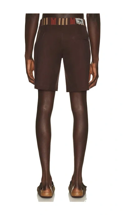 Rhythm Propagate Trunk In Brown