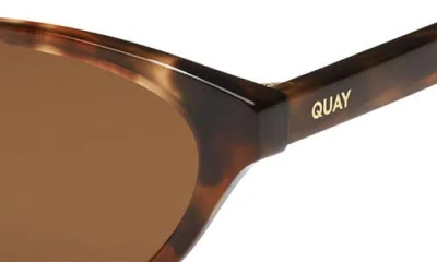 Quay Talk Nice 55mm Cat Eye Sunglasses In Brown