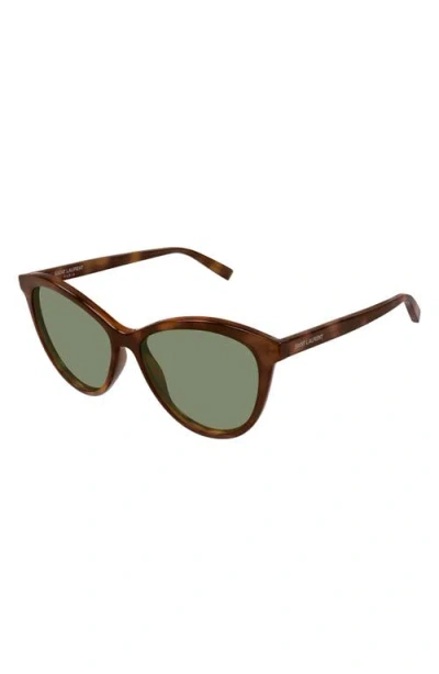 Saint Laurent Havana-havana-green Acetate Sunglasses In Brown