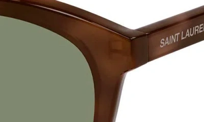 Saint Laurent Havana-havana-green Acetate Sunglasses In Brown