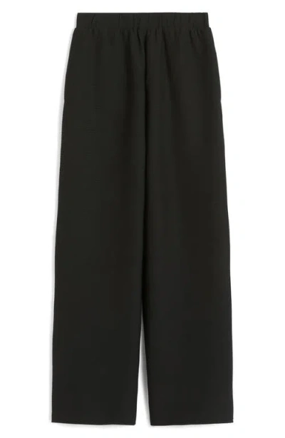 Mm By Max Mara Freccia Pull-on Jersey Pants In Black