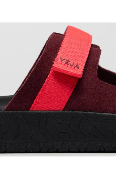 Veja Arpoador Slide Sandal In Red