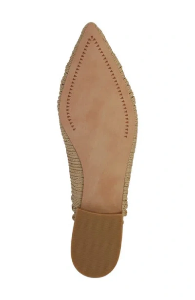 Mia Abia Pointed Toe Mule In Multi