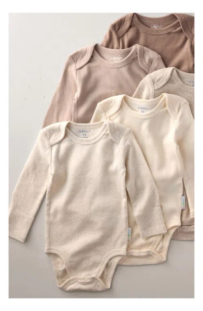 Butterblu Blake Long Sleeve Organic Cotton Assorted 5-pack Bodysuits In Multi