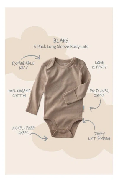 Butterblu Blake Long Sleeve Organic Cotton Assorted 5-pack Bodysuits In Multi