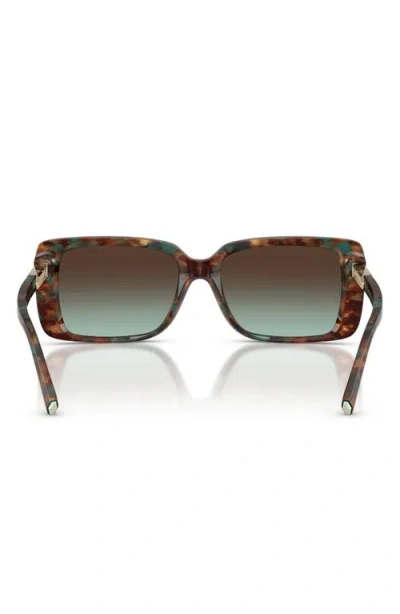 Tiffany & Co . 55mm Gradient Rectangular Sunglasses In Brown