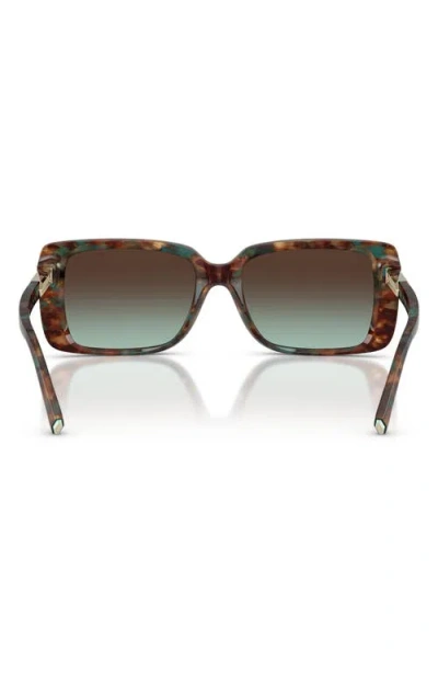 Tiffany & Co . 55mm Gradient Rectangular Sunglasses In Brown