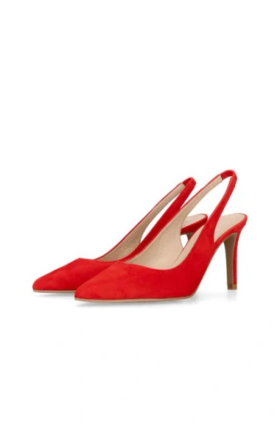 Mascaro Suede Pointed Toe Slingback In Multi