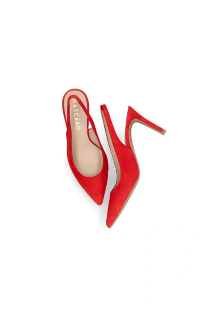 Mascaro Suede Pointed Toe Slingback In Multi