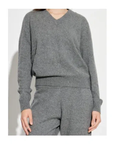 Entire Studios V-neck Sweater In Gray
