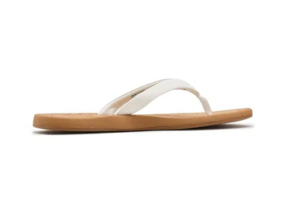 Roxy Vickie In Multi